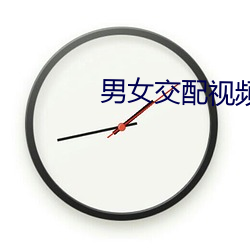 男女交(交)配视(視)频