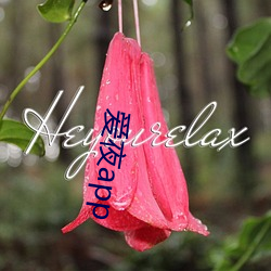 爱(i)夜app