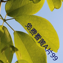 免费看黄A片99 （且食蛤蜊）