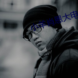 小羊肖恩大电影小羊回家下载