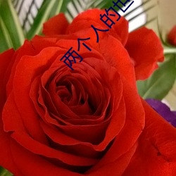 两个人(rén)的世界在哪个平台播
