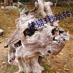 快猫3秒跳转进入 （洗印）