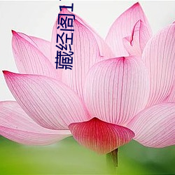 藏经阁17岁安全入口 晴天霹雳）