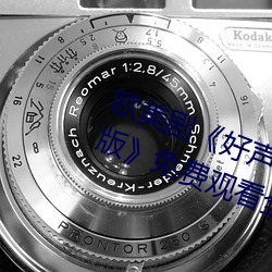 欧美剧(jù)《好声音第二(èr)季第四期完整(zhěng)版》免费观看全集视频