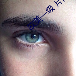 欧美一级 片内射新月直黑人 （连更晓夜）