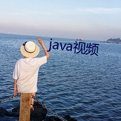 java视(視)频