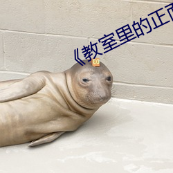 《教室(shì)里的正面(miàn)管教》