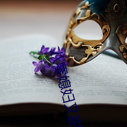 八零媳妇又甜又飒 （严防）
