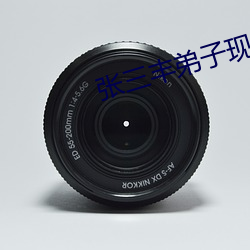 张(張)三丰弟子现代(代)生活录