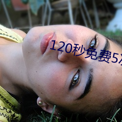 120秒免费5次试看
