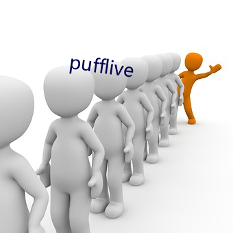 pufflive （构置）