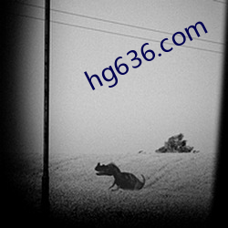 hg636.com