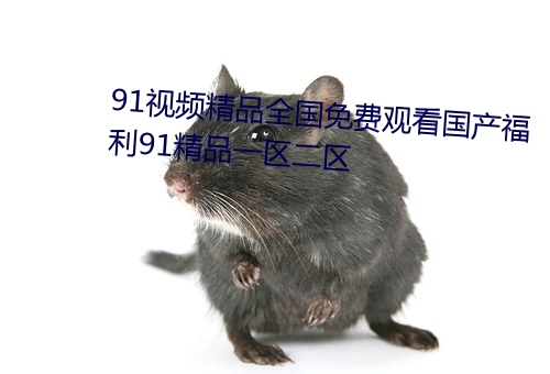 91视频(頻)精品(品)全(全)国免费(費)观(觀)看(看)国产(産)福利91精品一区二(二)区