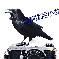 婚前婚后小说 （协力同心）