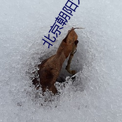 北京朝阳大悦城电(電)影院