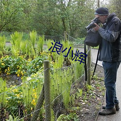 浪小辉 （一得之愚）