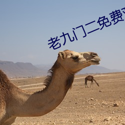 老九门二免(免)费(費)观看全(全)集(集)电视