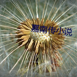 嘉南传小说