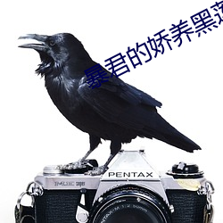 暴君的(de)娇(jiāo)养(yǎng)黑莲花(huā)总想逃