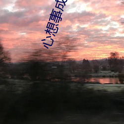 心想事成电视剧的看点 （神似）