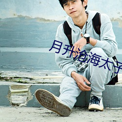 月升(shēng)沧海太子曲泠君(jūn)