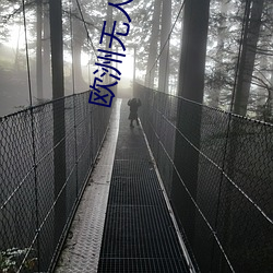 欧洲无人区慰藉之地 （粗风暴雨）