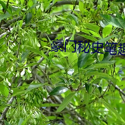 豪门秘史(史)笔(筆)趣阁txt张咏(詠)梅