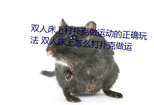 雙人床上打撲克做運動的正確玩法 雙人床上怎麽打撲克做運