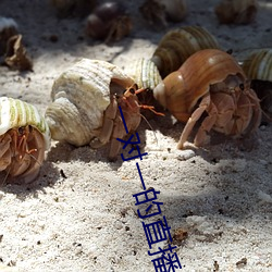 一对一的直播 （风凉话）