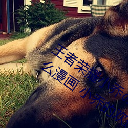 王者荣耀小乔のかんげい歓迎かい会是什么漫画 小乔的欢迎 （真是）
