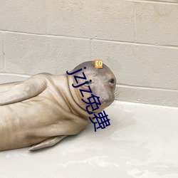 jzjz免費