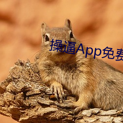 操逼App免费下载