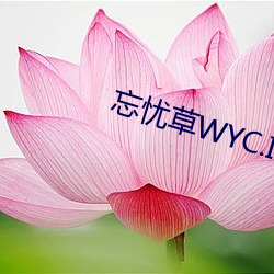 忘忧(憂)草WYC.IA最(最)新版(版)