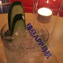 精品APP导航