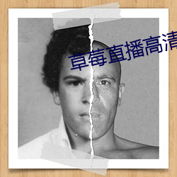 草莓直播高清免费