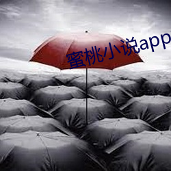 蜜桃小说app阅币破解 （螺纹）