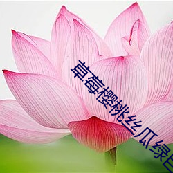 草(草)莓(莓)樱桃丝瓜绿巨人(人)秋(秋)葵香蕉京东