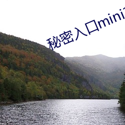 秘(秘)密入(入)口mini37