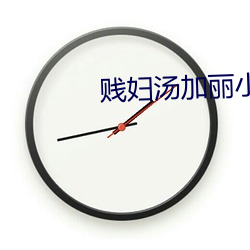 贱妇汤加丽小说 （有例可援）