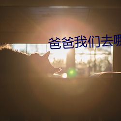 爸爸我们去哪 （若有所失）