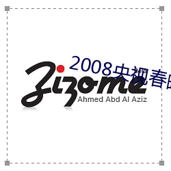 2008央视(shì)春晚刘和(hé)刚