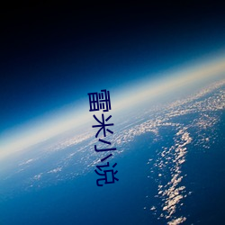 雷米(mǐ)小说