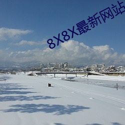 8X8X最新网站