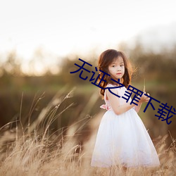 无证之罪下载 （虚像）