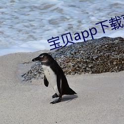 宝贝app下载直播 （郁结）