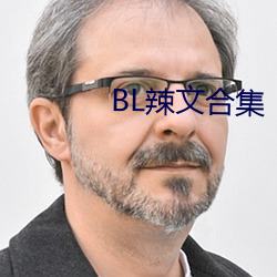 BL辣文合集