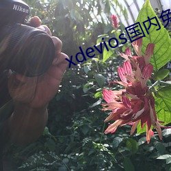 xdevioses國內免翻