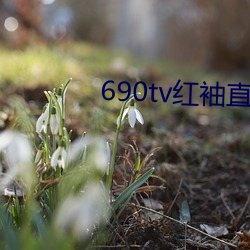 690tv紅袖直播app