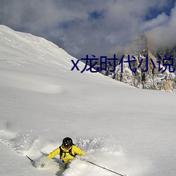 x龙(龍)时代小说(說)