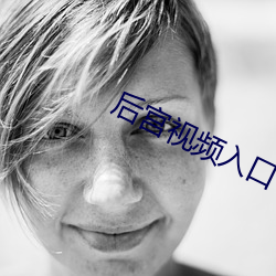 后宫视频入口